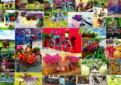 Grafika 1000 - Collage - Bikes (Rowery)