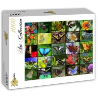 collage-butterflies-jigsaw-puzzle-1000-pieces_52573-2_fs.jpg