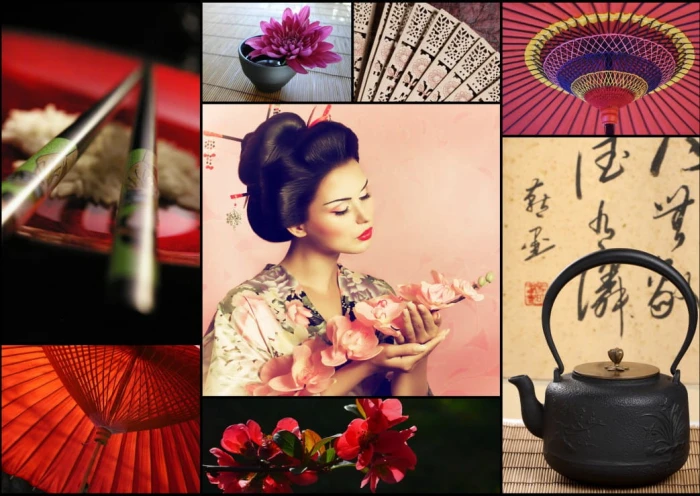 collage-japan-jigsaw-puzzle-1000-pieces_52576-1_fs.jpg