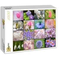 collage-spring-flowers-jigsaw-puzzle-1000-pieces_52511-2_fs.jpg