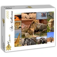 collage-wildlife-jigsaw-puzzle-1000-pieces_58028-2_fs.jpg