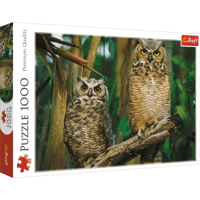Trefl 1000 - Sowy