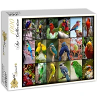 collage-worlds-most-beautiful-birds-jigsaw-puzzle-1000-pieces_52518-2_fs.jpg