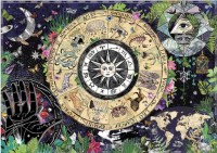 written-in-the-stars-jigsaw-puzzle-1000-pieces.91370-1.fs.jpg