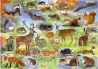 british-wildlife-jigsaw-puzzle-500-pieces.91353-1.fs.jpg