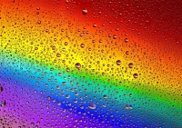 135046_4a4e58a1-68e2-4c1f-996c-75659152600d_720x.webp