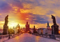 135038_6e4a8da4-60a6-4761-86c8-8866372c31af_720x.webp