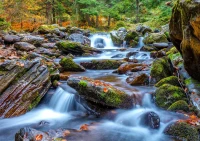 135036_825f4b69-cedd-4d12-8b1b-630d274dcc10_720x.webp