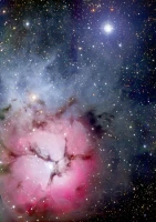 136037_9b8f583e-d425-4290-9252-c1cc18d09052_720x.webp