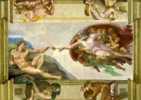 135104_349f1be6-038d-453c-bd98-9d0b81a65557_720x.webp