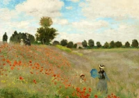 134573_00504f03-d0a1-4c44-92b4-f3efb287579f_720x.webp