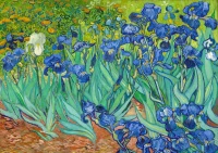 134563_208d23dd-4399-43f6-8efc-45bed54e08af_720x.webp