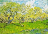 134559_f6a3eb9c-c4ac-4eac-9ea2-37372f0281de_720x.webp