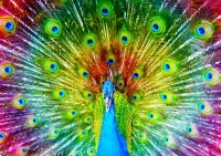 134607_b77c8fab-bb6e-40dc-818b-76e2169f34de_720x.webp