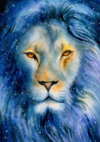 135991_e214519b-cf56-4d51-9d22-cb37613b8a7b_720x.webp