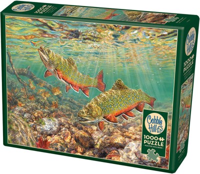 Cobble Hill 1000 - Brook Trout