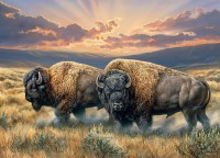 cobble-hill-outset-media-dusty-plains-jigsaw-puzzle-1000-pieces.91432-1.fs.jpg