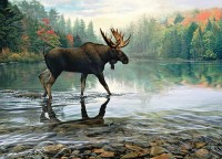 cobble-hill-outset-media-moose-crossing-jigsaw-puzzle-1000-pieces.91427-1.fs.jpg