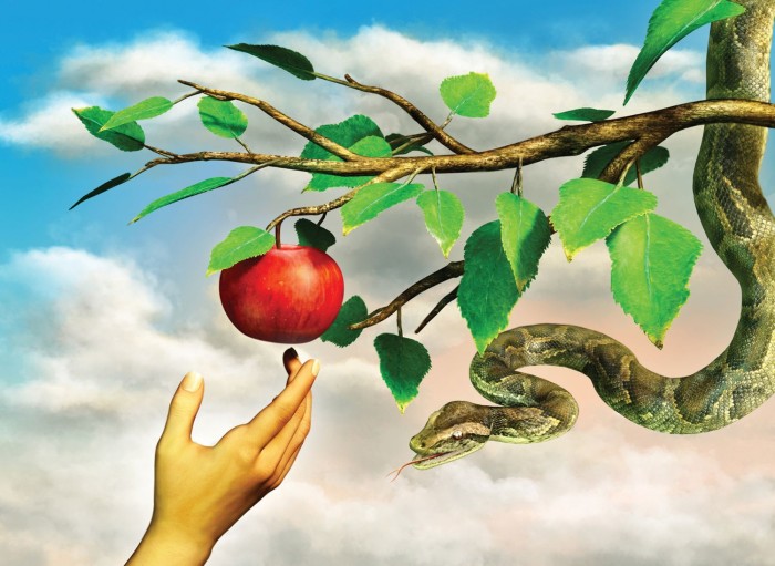 nova-puzzle-forbidden-apple-jigsaw-puzzle-1000-pieces.91489-1.fs.jpg