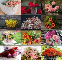 collage-flowers-jigsaw-puzzle-1000-pieces.87641-1.fs.jpg
