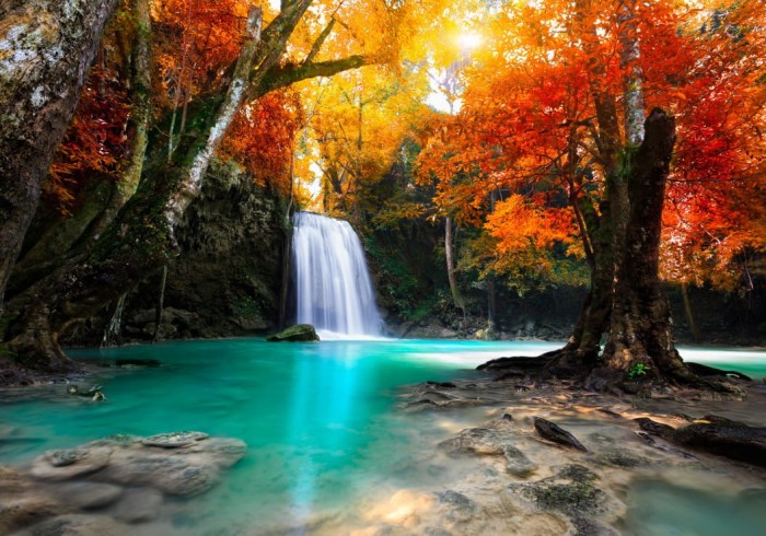 deep-forest-waterfall-jigsaw-puzzle-1000-pieces_51681-1_fs.jpg