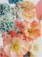 m-puzzle-ashley-woodson-bailey-svetlo-floridy-1000-dilku-171174.jpg