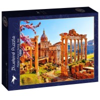 bluebird-puzzle-roman-ruins-in-spring-italy-jigsaw-puzzle-1000-pieces.91131-2.fs.jpg