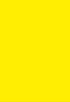 yellow-yellow-yellow-jigsaw-puzzle-1000-pieces.91478-1.fs.jpg