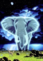 schim-schimmel-spirit-of-africa-jigsaw-puzzle-1000-pieces.86179-1.fs.jpg