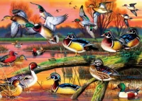 master-pieces-autumn-feathers-jigsaw-puzzle-1000-pieces.90881-1.jpg
