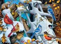 master-pieces-snow-birds-jigsaw-puzzle-1000-pieces.90813-1.fs.jpg