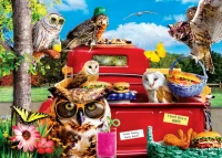 master-pieces-tailgate-at-the-park-jigsaw-puzzle-1000-pieces.90845-1.fs.jpg
