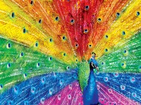 master-pieces-peacock-delight-jigsaw-puzzle-550-pieces.90804-1.fs.jpg