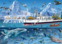 bluebird-puzzle-francois-ruyer-arctic-bluebird-boat-jigsaw-puzzle-1500-pieces.90905-1.fs.jpg