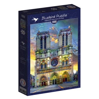 Bluebird 1000 - Notre-Dame de Paris Cathedral
