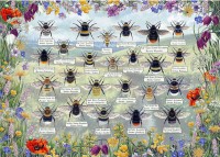 brilliant-bees-jigsaw-puzzle-1000-pieces.92059-1.fs (1).jpg