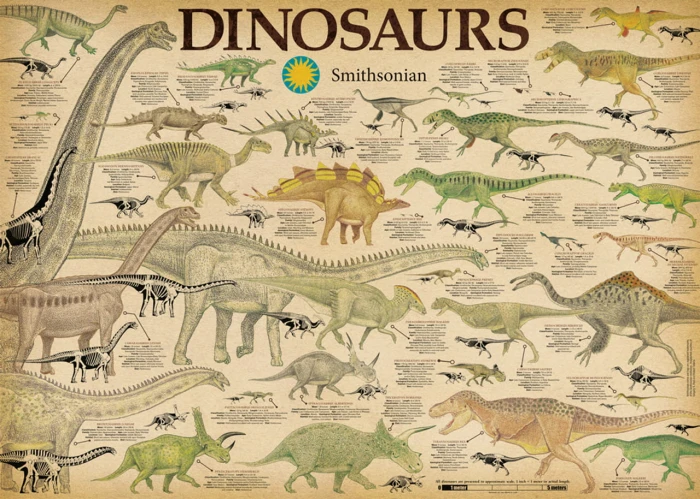 dinosaurs-jigsaw-puzzle-1000-pieces.91931-1.fs.jpg