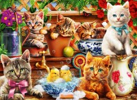 bluebird-puzzle-kittens-in-the-potting-shed-jigsaw-puzzle-3000-pieces.92110-1.fs.jpg