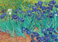 bluebird-puzzle-vincent-van-gogh-irises-1889-jigsaw-puzzle-3000-pieces.92127-1.fs.jpg