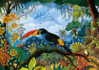 pieces-peace-toucan-bleu-jigsaw-puzzle-1000-pieces.91566-1.fs.jpg