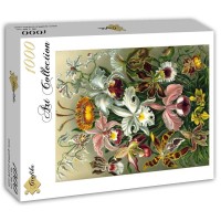 ernst-haeckel-kunstformen-der-natur-orchidae-1904-jigsaw-puzzle-1000-pieces_51566-2_fs.jpg