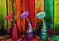 flowered-and-colorful-vases-jigsaw-puzzle-1000-pieces_63467-1_fs.jpg
