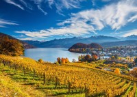 pol_pl_PQ-Puzzle-2000-el-Winnice-6283_6.jpg