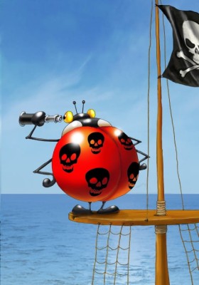 Grafika 1000 - Francois Ruyer - Pirate (Pirat)