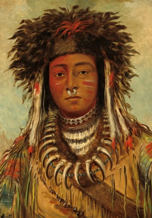 george-catlin-boy-chief-ojibbeway-1843-jigsaw-puzzle-1000-pieces_58880-1_fs.jpg