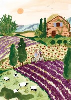 pieces-peace-provence-jigsaw-puzzle-2000-pieces.92187-1.fs.jpg