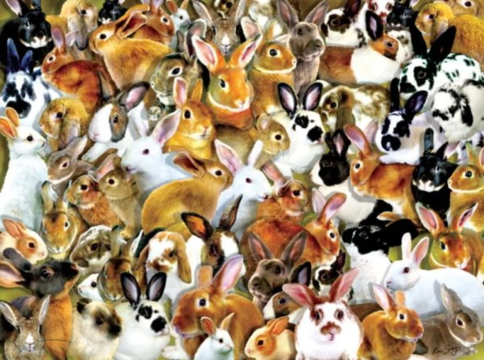 lori-schory-a-bundle-of-bunnies-jigsaw-puzzle-1000-pieces.92832-1.fs.jpg