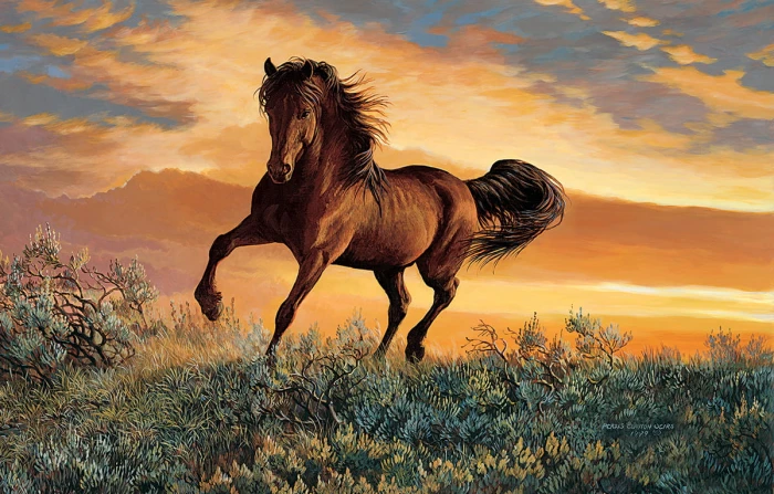 persis-clayton-weirs-mustang-sky-jigsaw-puzzle-1000-pieces.92799-1.fs.jpg