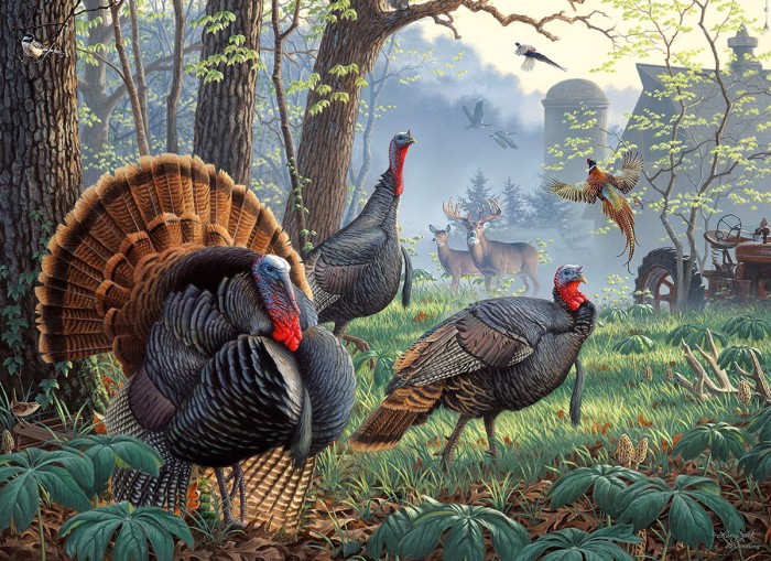 larry-zach-old-toms-farm-jigsaw-puzzle-1000-pieces.92843-1.fs.jpg