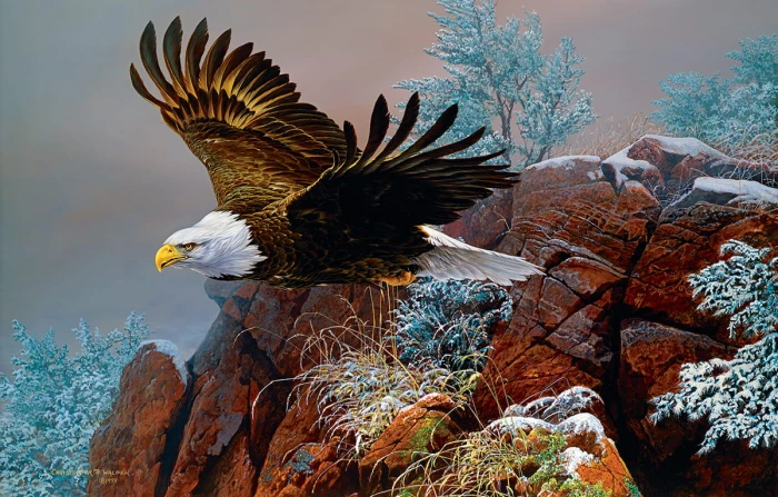 christopher-walden-wind-surfer-jigsaw-puzzle-1000-pieces.92800-1.fs.jpg